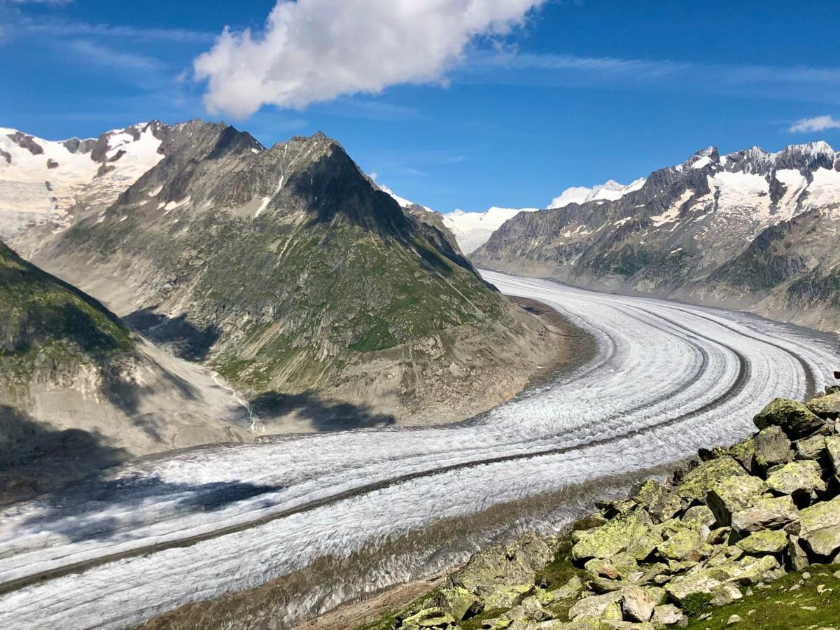 Perle Des Alpes, Bettmeralp, Switzerland 외부 사진
