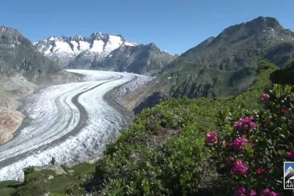 Perle Des Alpes, Bettmeralp, Switzerland 외부 사진